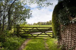 Rear Gate- click for photo gallery